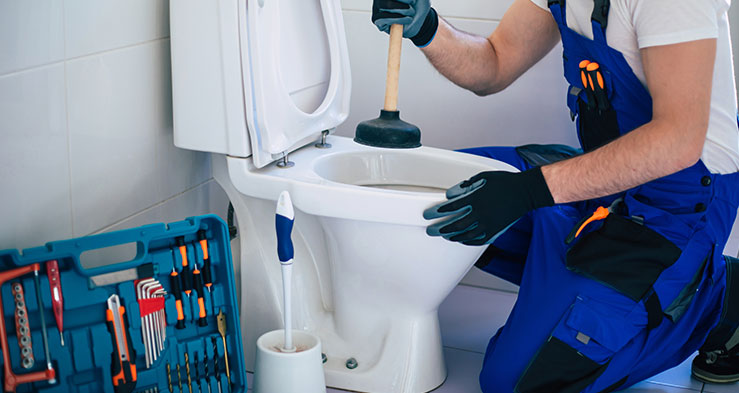 Toilet Installation and Repair
